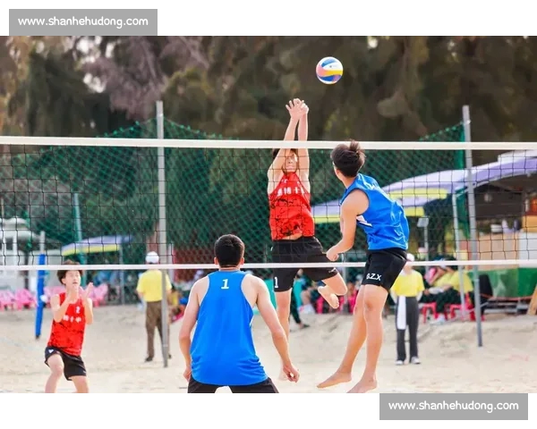 全方位解析体育官网登录网页版功能与使用技巧轻松畅享体育娱乐体验